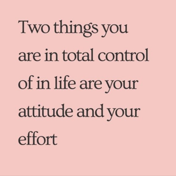 🌻 - Picture 2 of 4